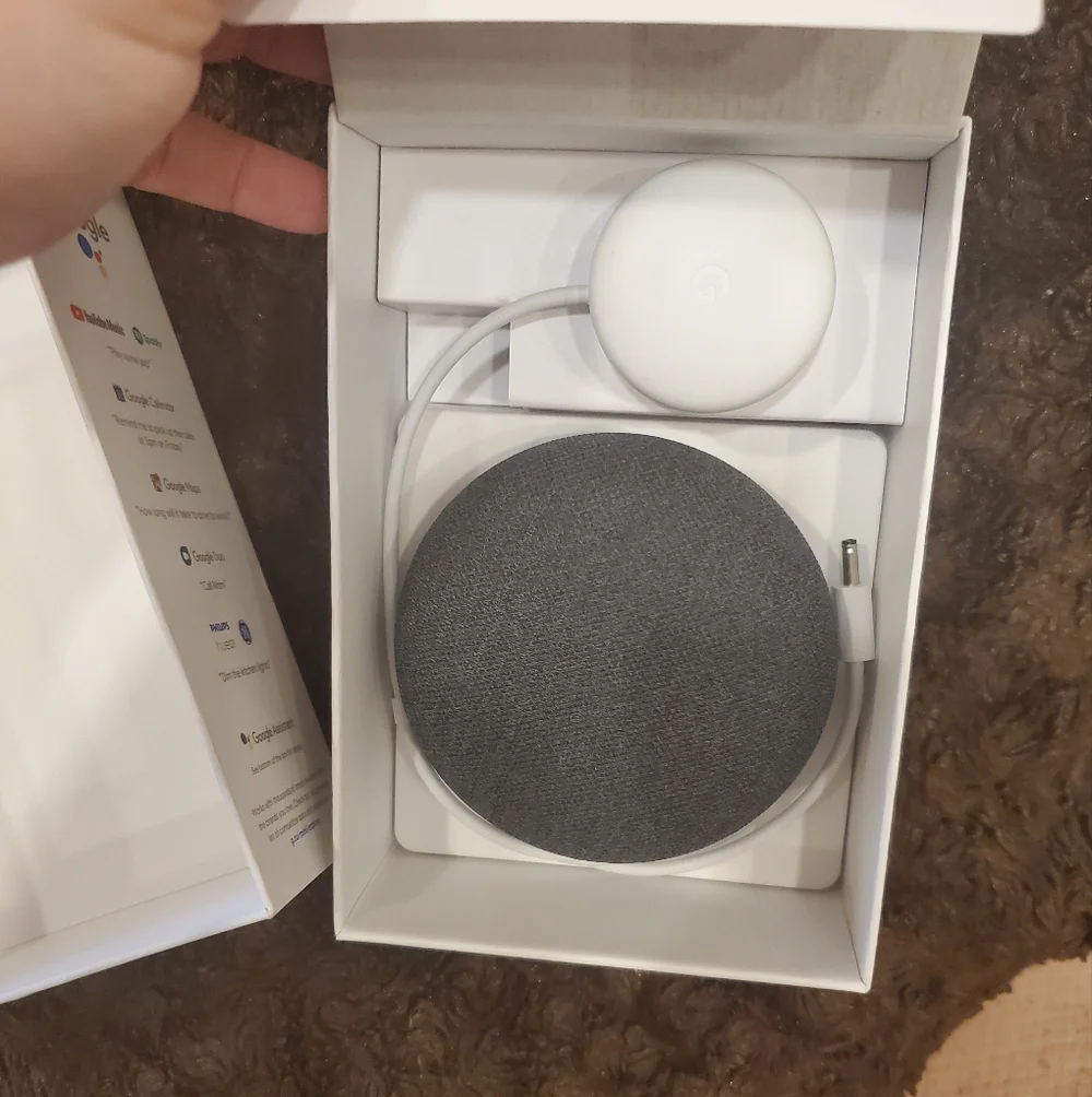 Google Nest Mini Speaker - Charcoal